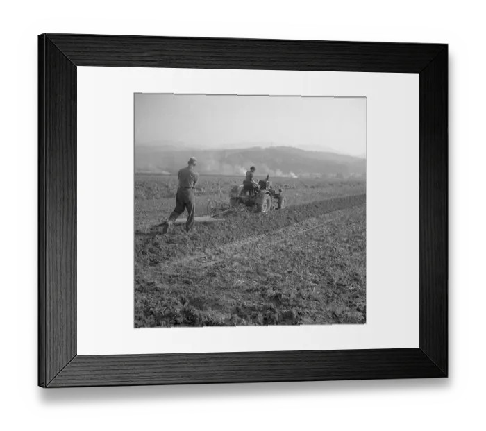 Framed Print : Workers plough the field with a tractor