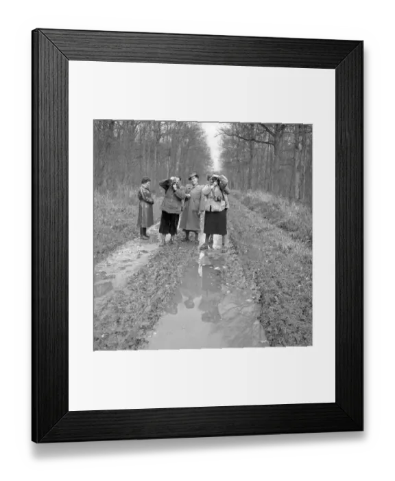 Framed Print : Humans on a forest road, ca. 1950 Framed Print : Humans on a forest road, ca. 1950