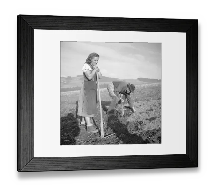 Framed Print : Field worker, farmers, agriculture, ca Framed Print : Field worker, farmers, agriculture, ca