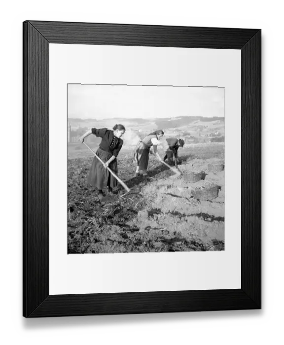 Framed Print : Field worker, farmers, agriculture, ca Framed Print : Field worker, farmers, agriculture, ca