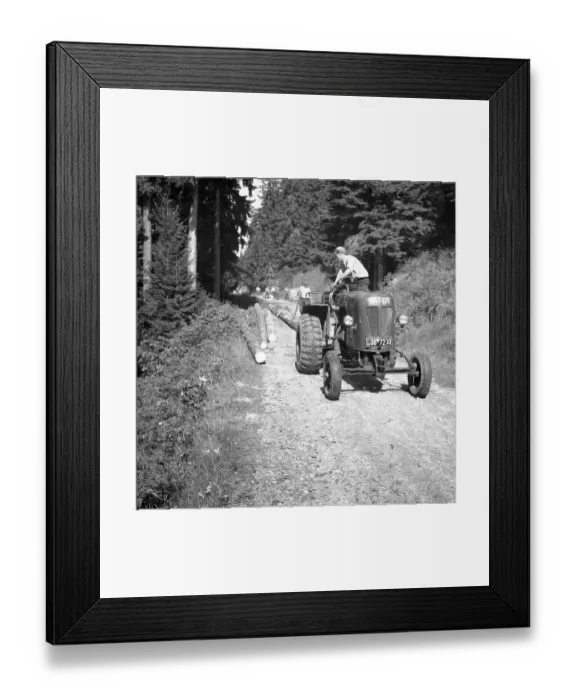 Framed Print : Workers transport tree trunks along a forest path