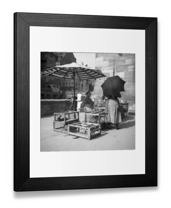 Framed Print : Hasen, Freiburger Muenstermarkt, approx