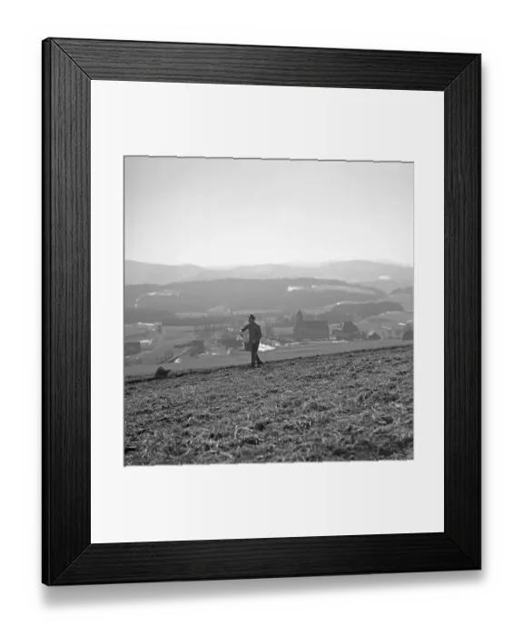 Framed Print : Farmer walks over a field and sows, ca