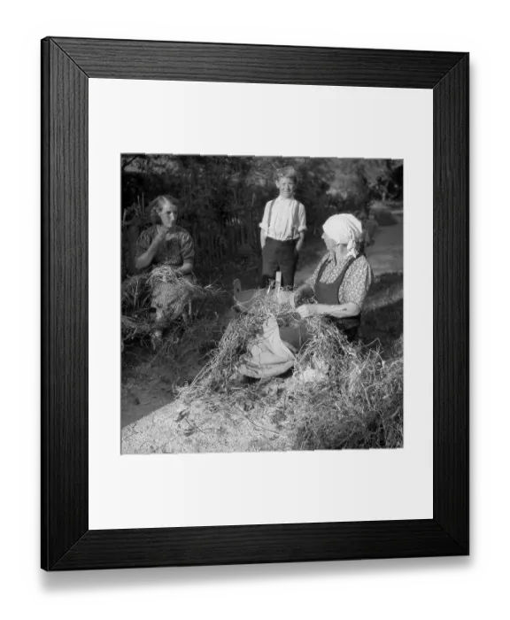 Framed Print : Women farmers, approx. 1945 to 1955 Framed Print : Women farmers, approx. 1945 to 1955