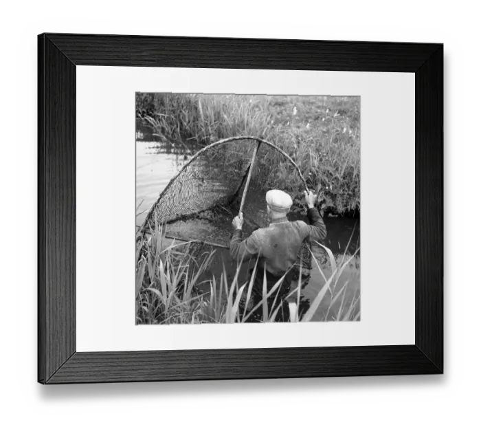 Framed Print : Fisherman with net in the river, ca