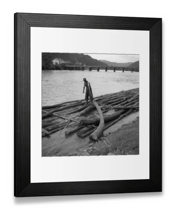 Framed Print : Man builds a raft from tree trunks, ca