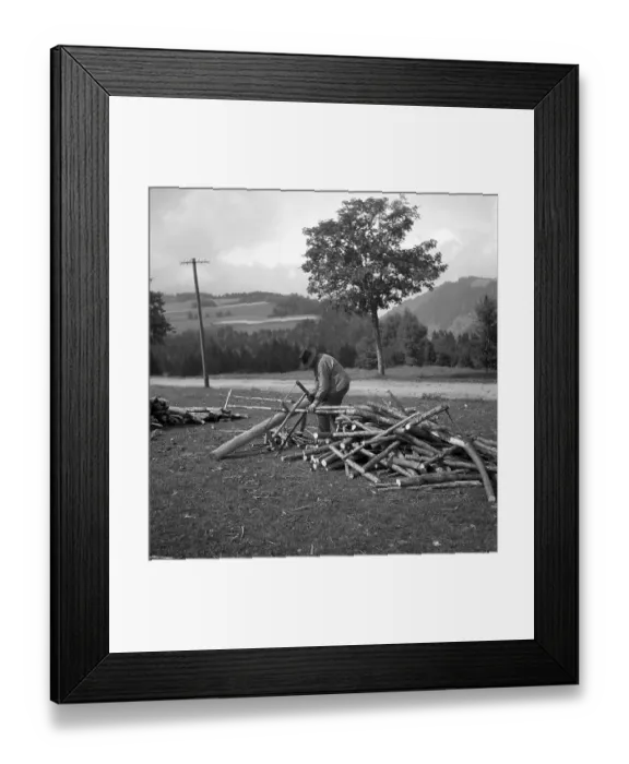 Framed Print : Man saws wood, around Freiburg from 1945 to 1955