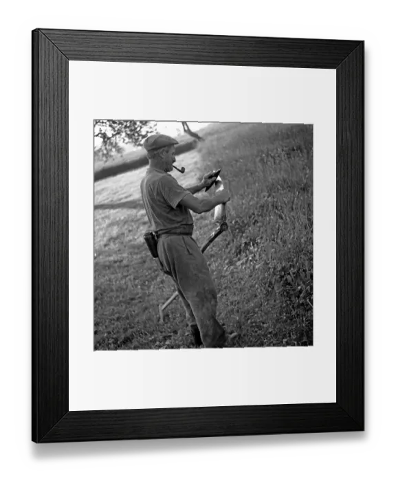 Framed Print : Man with a pipe sharpened in his mouth sharpens a scythe with the help of a grindstone