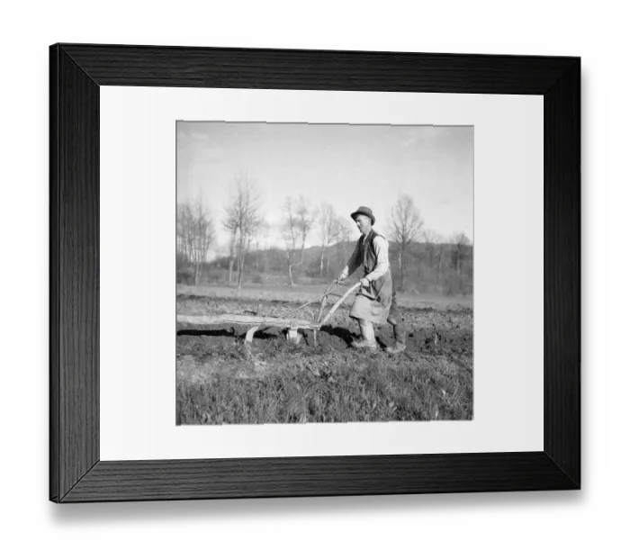 Framed Print : Farmer with an old wooden plough
