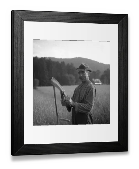 Framed Print : Man stands on the field and looks into the camera while sharpening a scythe with a knife Framed Print : Man stands on the field and looks into the camera while sharpening a scythe with a knife