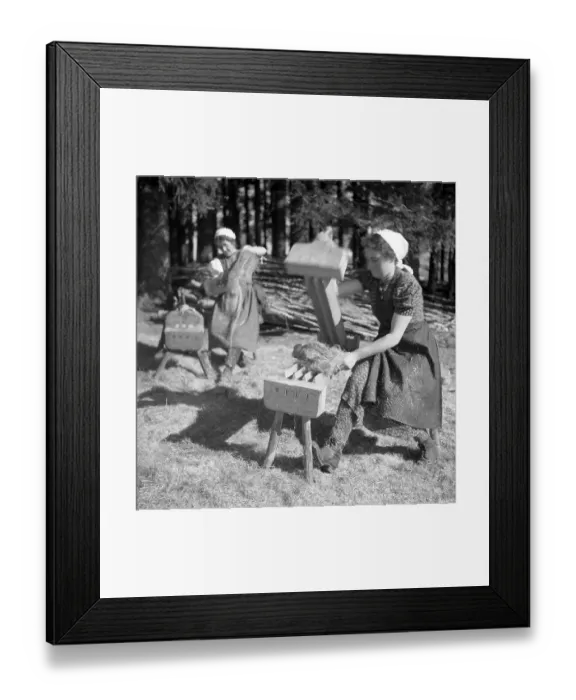 Framed Print : Flax production, ca. 1945 to 1955 Framed Print : Flax production, ca. 1945 to 1955