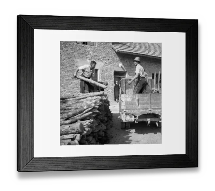 Framed Print : Men load logs onto a wagon, ca