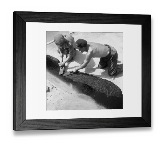 Framed Print : Road workers tar a road, ca. 1945 to 1955 Framed Print : Road workers tar a road, ca. 1945 to 1955