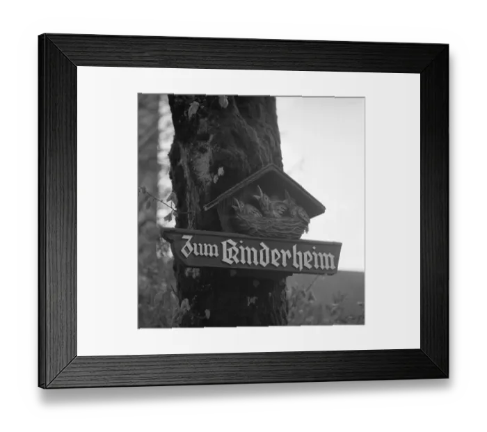 Framed Print : Shield with carved young birds in a nest Framed Print : Shield with carved young birds in a nest