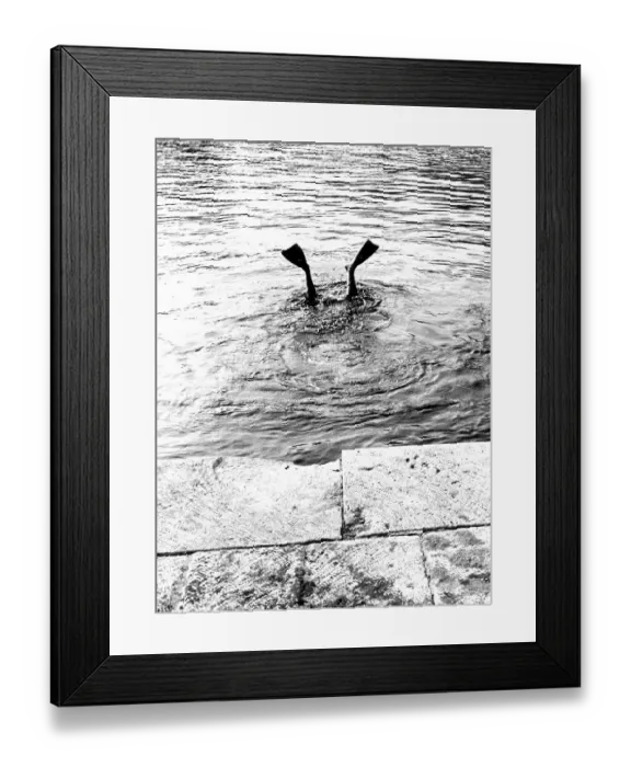 Framed Print : Diver's fins looking out of water ca Framed Print : Diver's fins looking out of water ca
