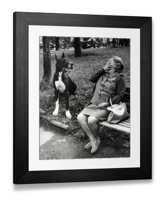 Framed Print : Woman frightened in front of Great Dane ca Framed Print : Woman frightened in front of Great Dane ca