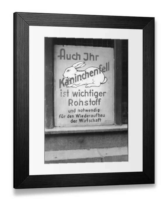 Framed Print : Rabbit fur as raw material, ca