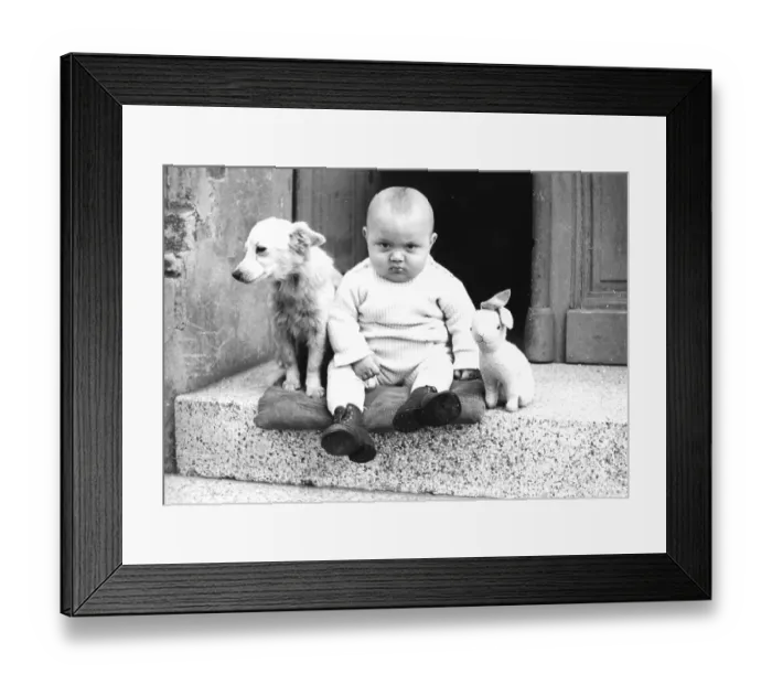Framed Print : A baby with a dog and plush rabbit sits on a landing and looks grimly into the camera
