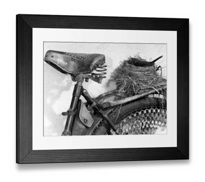 Framed Print : Bird's nest on the carrier of a bicycle approx