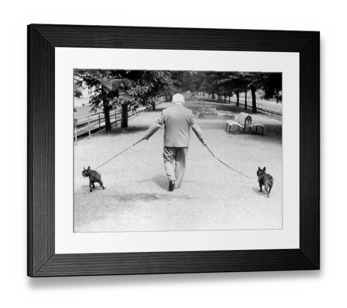 Framed Print : Man with two dogs, ca. 1980s, East Berlin Framed Print : Man with two dogs, ca. 1980s, East Berlin