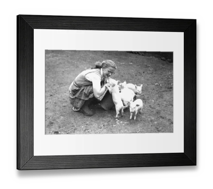 Framed Print : Girl with pigs, 1950s, ca. 1959