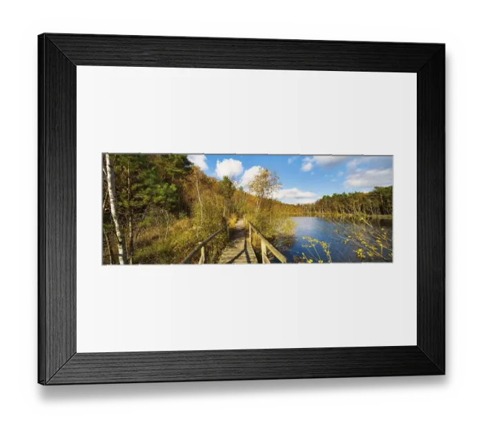 Framed Print : Moor path, wooden footbridge, planked path through the moor in autumn
