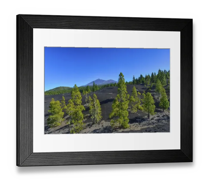 Framed Print : Montanas Negras hiking area, Parque Natural de Corona Forestal