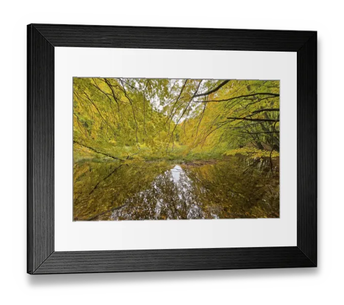 Framed Print : Autumn leaves, autumn atmosphere