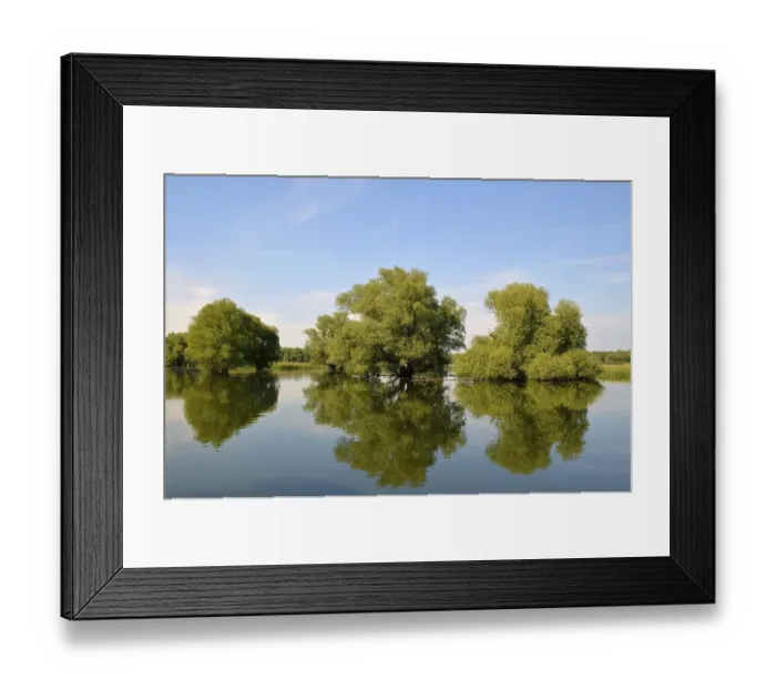 Framed Print : Wetland in the Kopacki Rit nature park