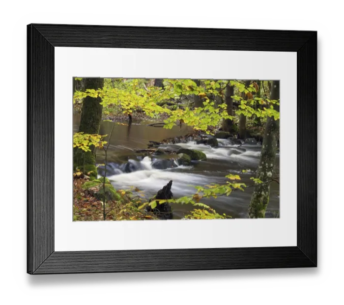 Framed Print : River Skaeran in autumn in the Soederasen National Park Framed Print : River Skaeran in autumn in the Soederasen National Park