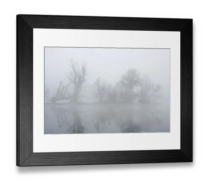 Framed Print : Vogelinsel Island surrounded by fog