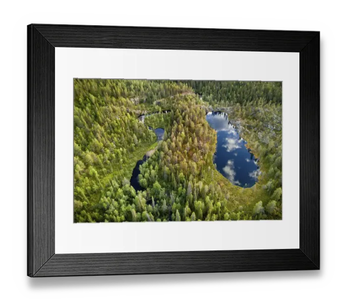 Framed Print : Drone view, aerial photo, clouds reflected in shoe shaped lake in boreal arctic forest with conifers