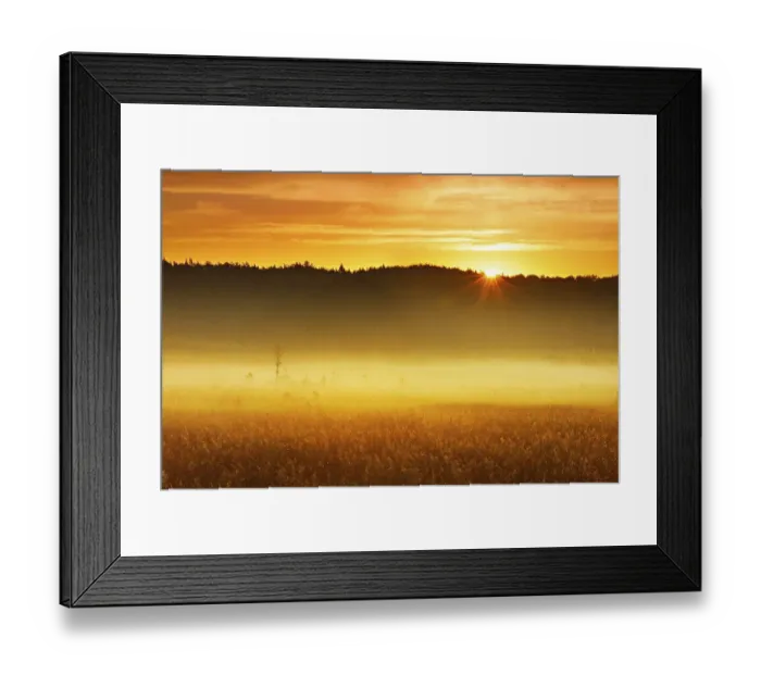 Framed Print : Foggy moor at sunrise, Great Serrahn Moor Framed Print : Foggy moor at sunrise, Great Serrahn Moor