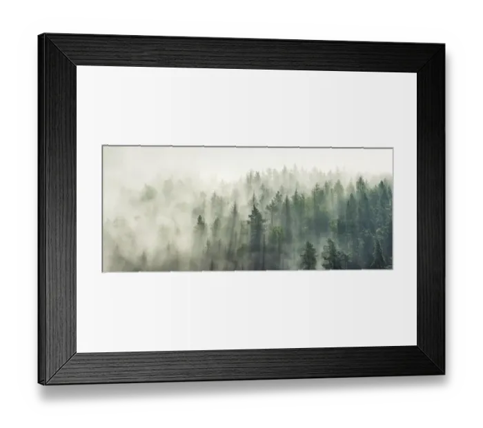 Framed Print : View of foggy forest in backlight Framed Print : View of foggy forest in backlight