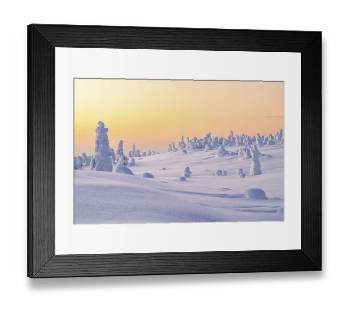 Framed Print : Snowed-in trees, winter landscape Framed Print : Snowed-in trees, winter landscape