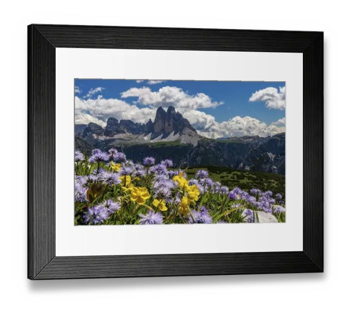 Framed Print : Flower meadow in front of mountain panorama Framed Print : Flower meadow in front of mountain panorama