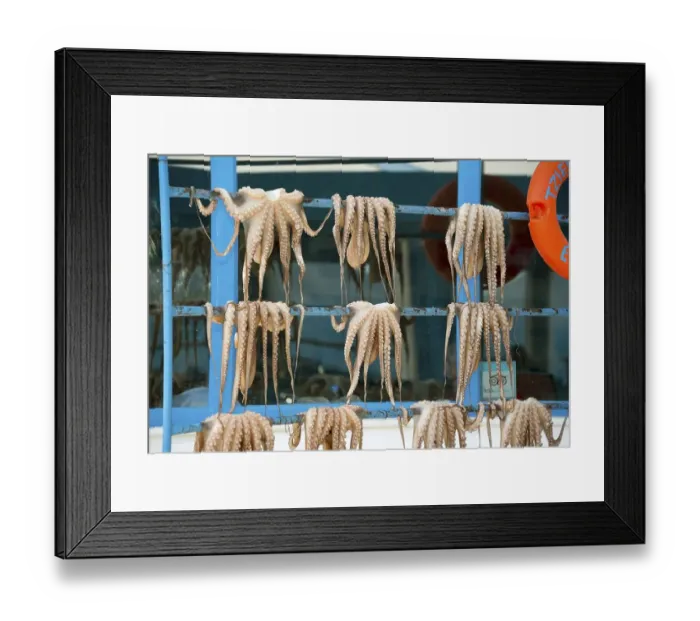 Framed Print : Fresh octopus hung for drying, Argolis
