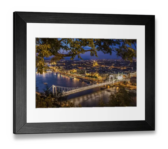 Framed Print : View from the Citadel to the Danube