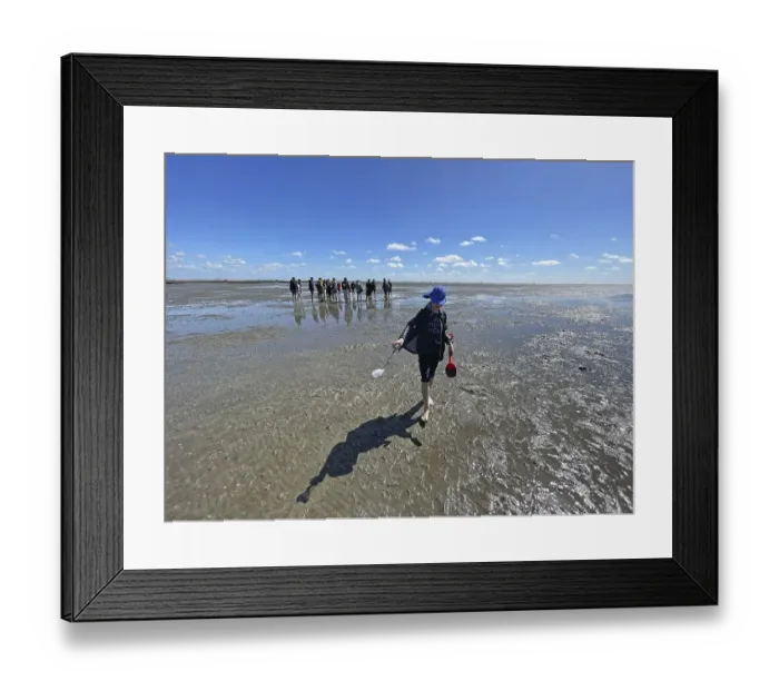 Framed Print : Mudflat walk, boy, group in background Framed Print : Mudflat walk, boy, group in background