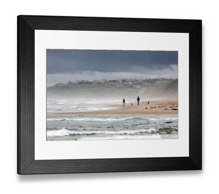 Framed Print : ALNMOUTH, NORTHUMBERLAND / UK - AUGUST 17 : Walking the Dogs along the Alnmouth Coast in Northumberland on August 17 Framed Print : ALNMOUTH, NORTHUMBERLAND / UK - AUGUST 17 : Walking the Dogs along the Alnmouth Coast in Northumberland on August 17