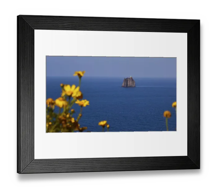 Framed Print : Yellow flowers, close, blurred
