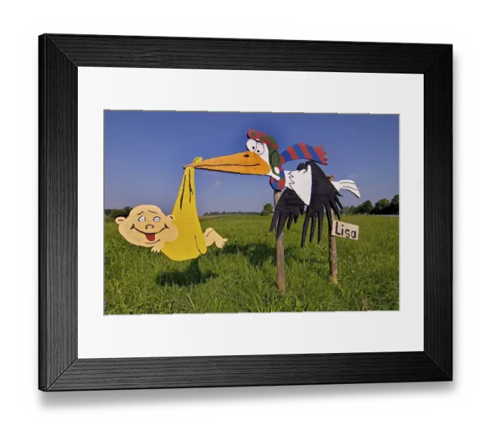 Framed Print : Wooden sign of a stork in a field Framed Print : Wooden sign of a stork in a field