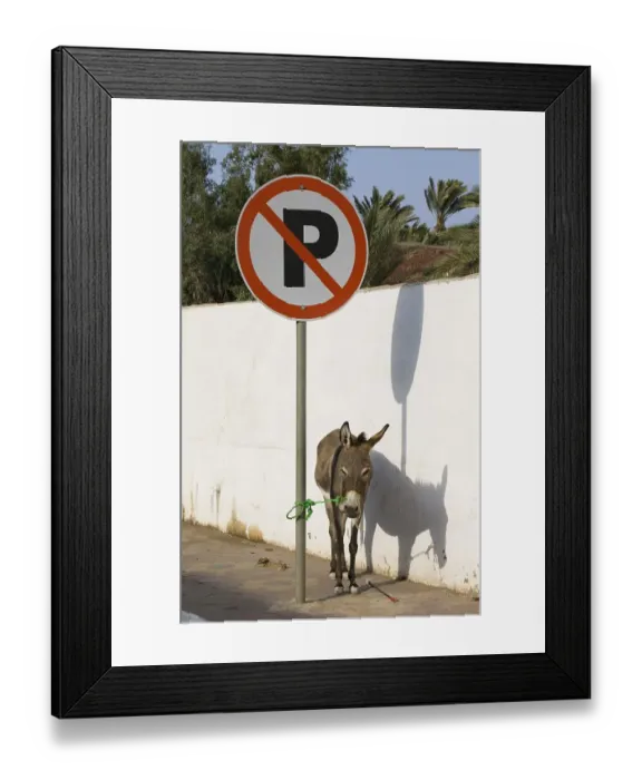 Framed Print : An illegally parked donkey, Egypt, Africa