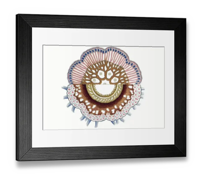 Framed Print : Historic illustration, tablet 17 Framed Print : Historic illustration, tablet 17