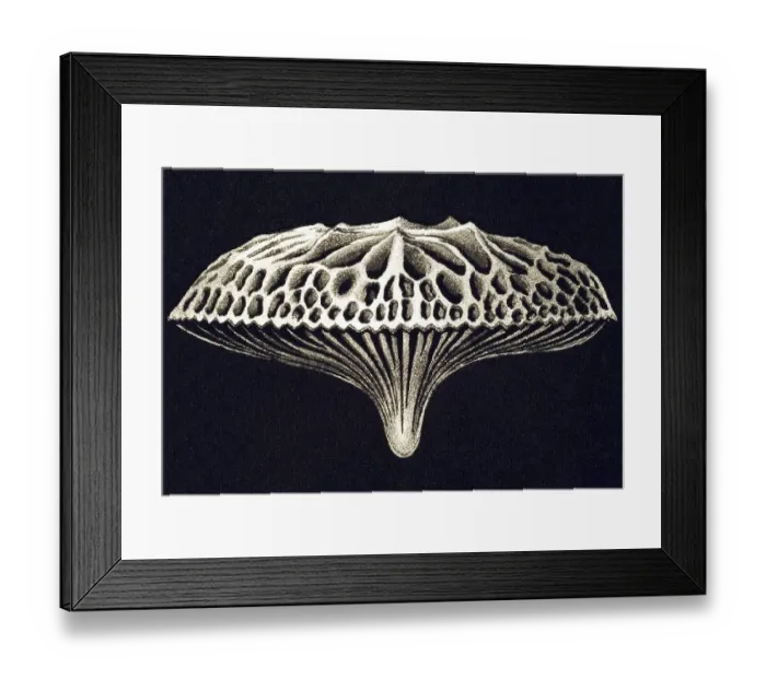 Framed Print : Historic illustration, tablet 9