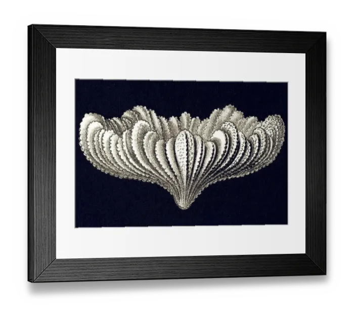Framed Print : Historic illustration, tablet 9