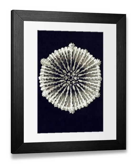 Framed Print : Historic illustration, tablet 9