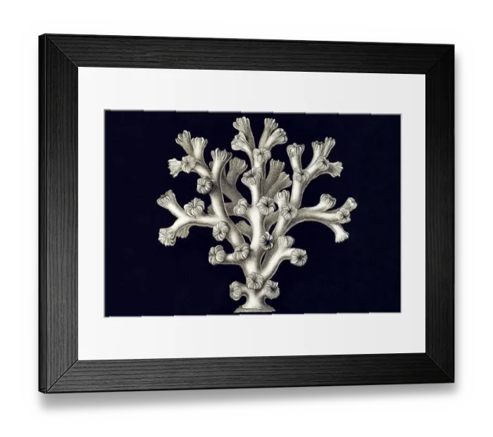 Framed Print : Historic illustration, tablet 9 Framed Print : Historic illustration, tablet 9