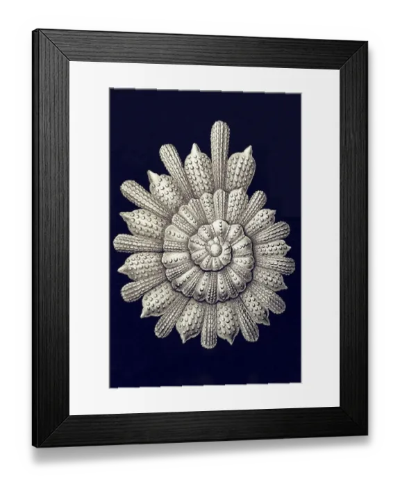 Framed Print : Historic illustration, tablet 2 Framed Print : Historic illustration, tablet 2