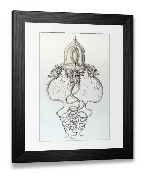 Framed Print : Historic illustration, tablet 6 Framed Print : Historic illustration, tablet 6